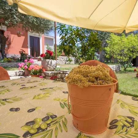 Apartment Nusret Cunski